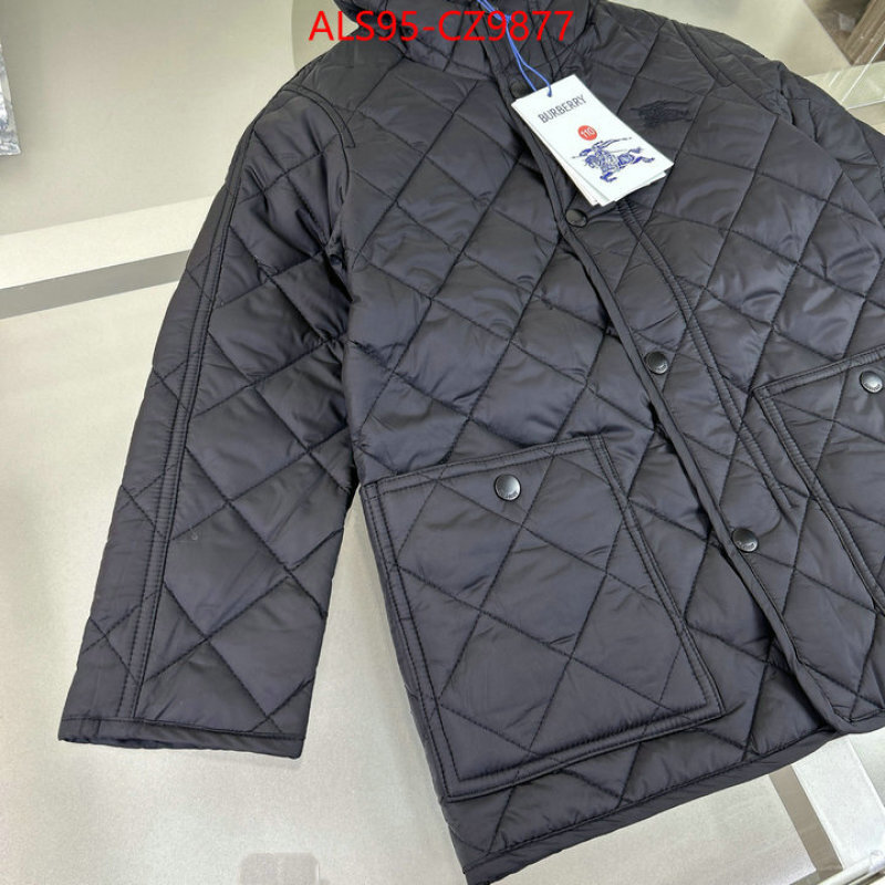 Kids clothing-Down jacket sellers online ID: CZ9877 $: 95USD