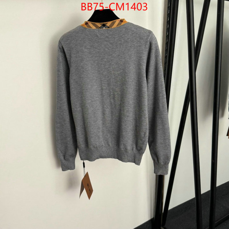 Clothing-Burberry replica online ID: CM1403 $: 75USD
