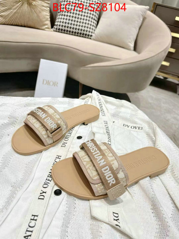 Women Shoes-Dior the online shopping ID: SZ8104 $: 79USD