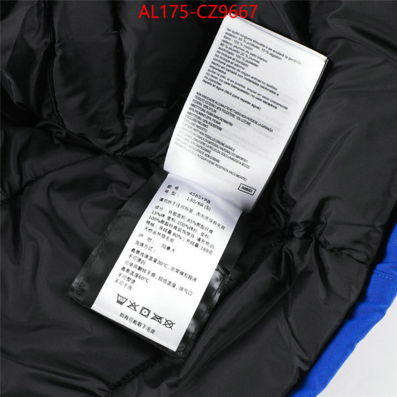 Kids clothing-Down jacket best replica 1:1 ID: CZ9667 $: 175USD