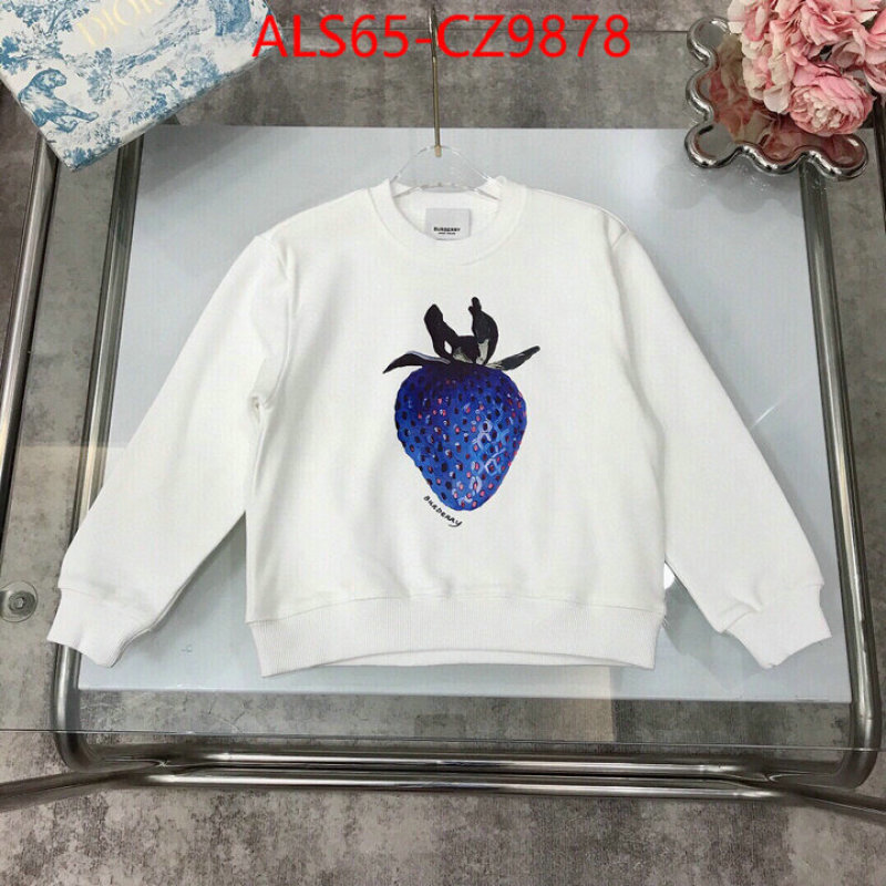 Kids clothing-Burberry best website for replica ID: CZ9878 $: 65USD
