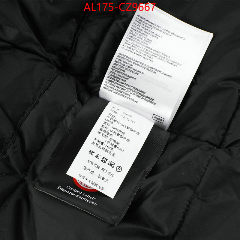 Kids clothing-Down jacket best replica 1:1 ID: CZ9667 $: 175USD
