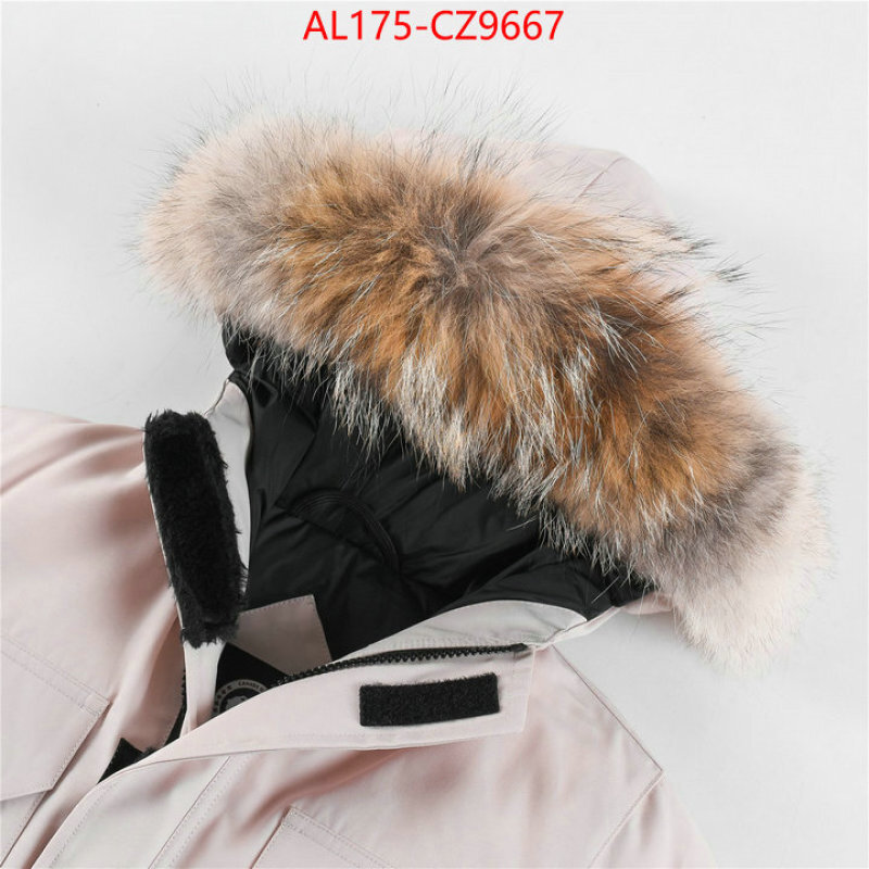 Kids clothing-Down jacket best replica 1:1 ID: CZ9667 $: 175USD