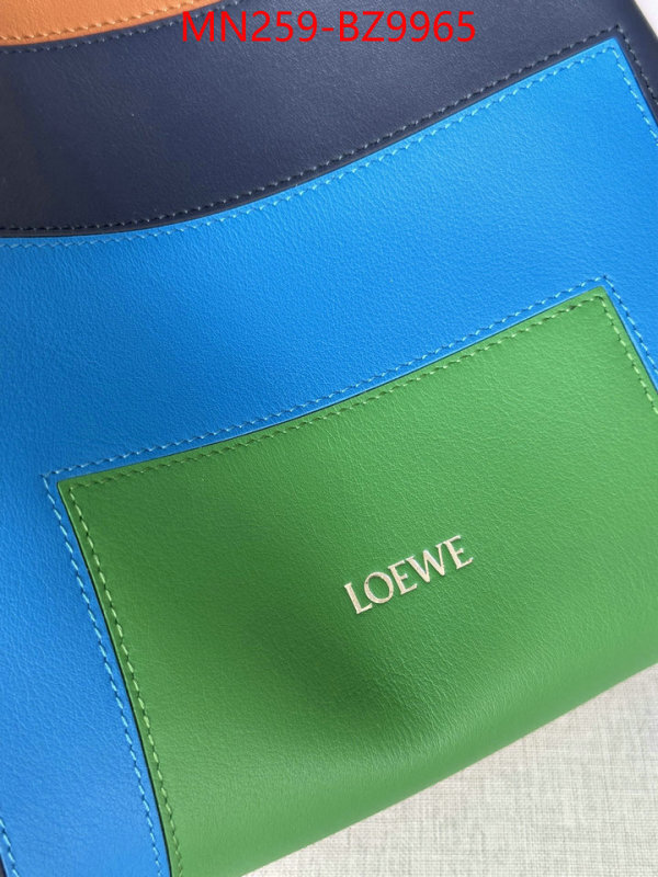 Loewe Bags(TOP)-Crossbody- buy best high-quality ID: BZ9965 $: 259USD,