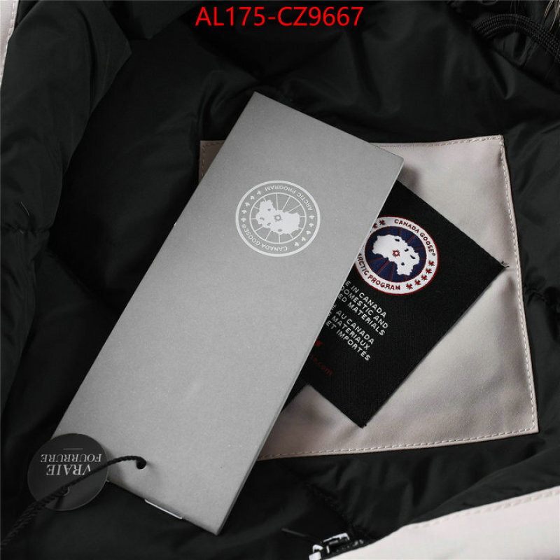 Kids clothing-Down jacket best replica 1:1 ID: CZ9667 $: 175USD