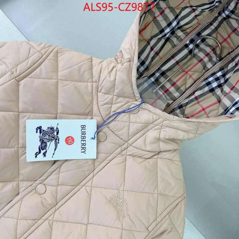 Kids clothing-Down jacket sellers online ID: CZ9877 $: 95USD
