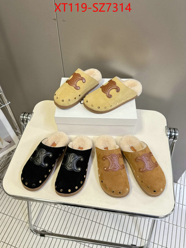 Women Shoes-CELINE what is top quality replica ID: SZ7314 $: 119USD