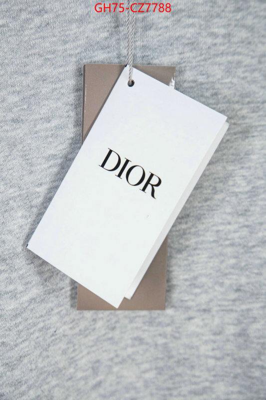 Clothing-Dior 1:1 ID: CZ7788 $: 75USD
