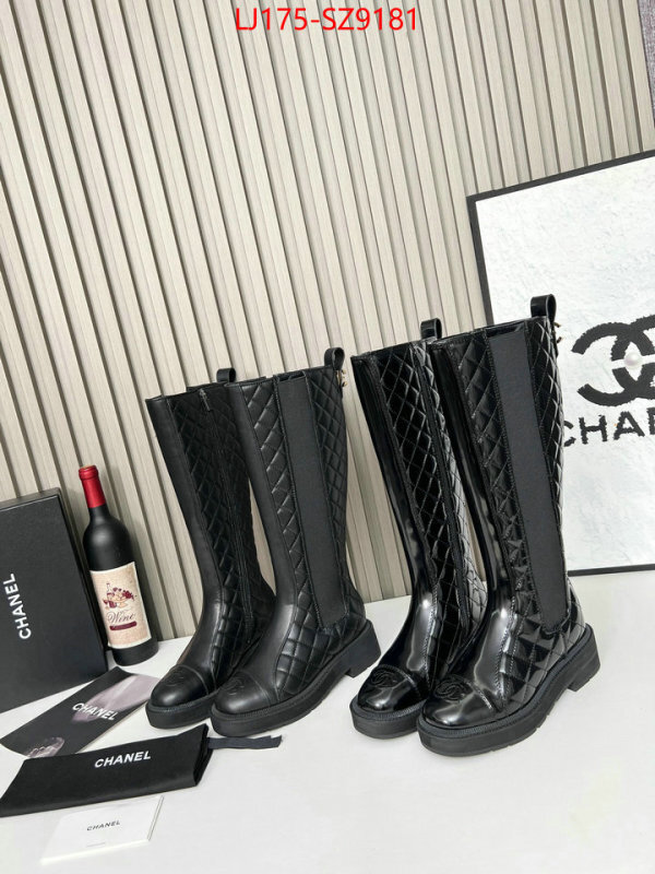 Women Shoes-Boots online from china ID: SZ9181 $: 175USD