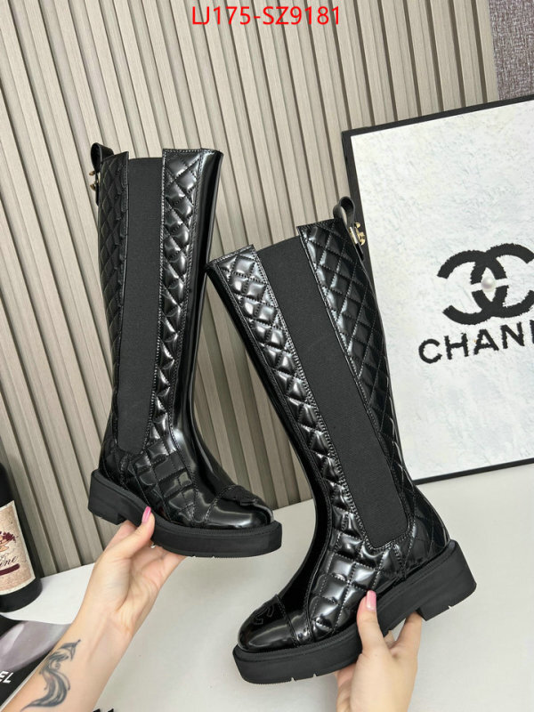 Women Shoes-Boots online from china ID: SZ9181 $: 175USD