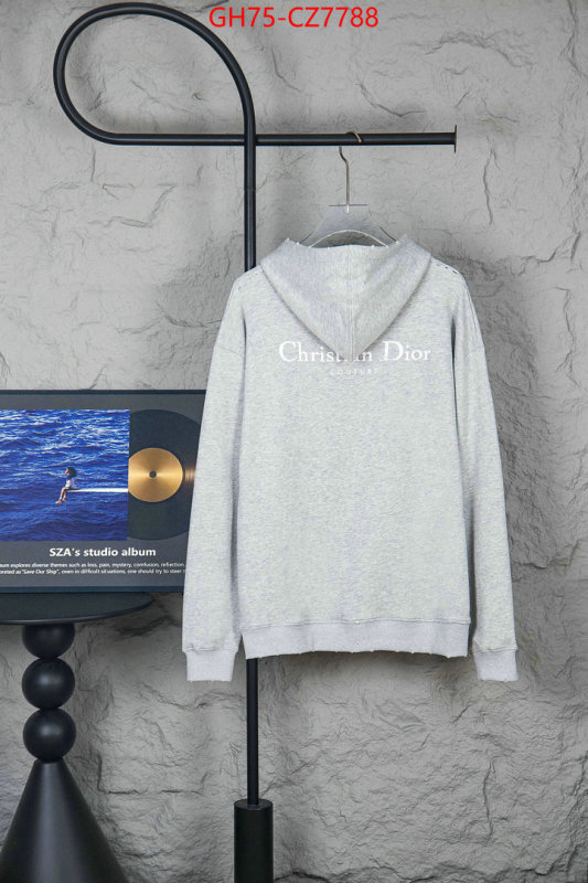 Clothing-Dior 1:1 ID: CZ7788 $: 75USD