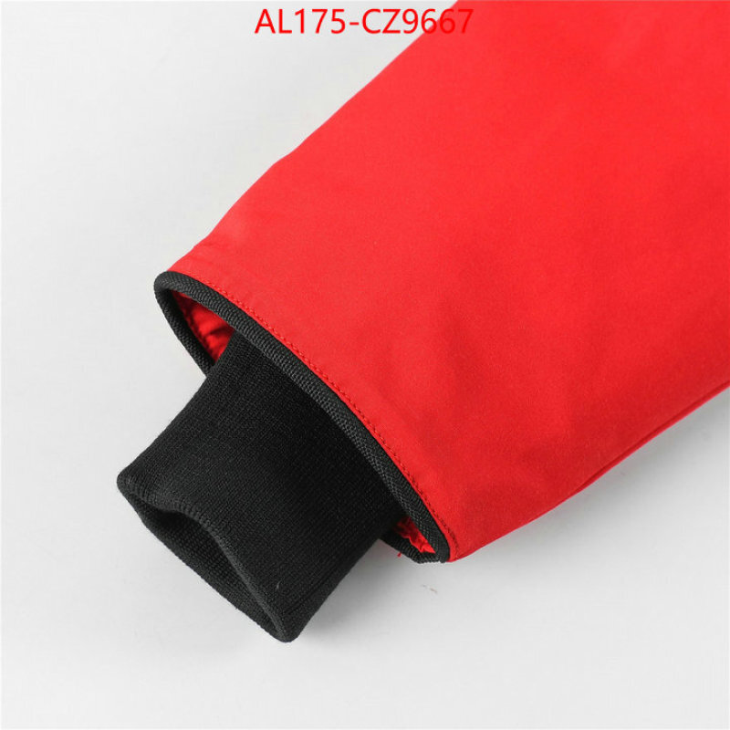 Kids clothing-Down jacket best replica 1:1 ID: CZ9667 $: 175USD