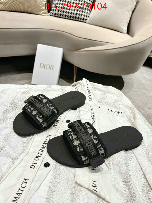 Women Shoes-Dior the online shopping ID: SZ8104 $: 79USD
