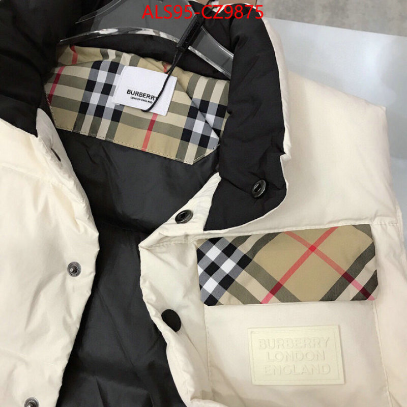Kids clothing-Down jacket how to buy replica shop ID: CZ9875 $: 95USD