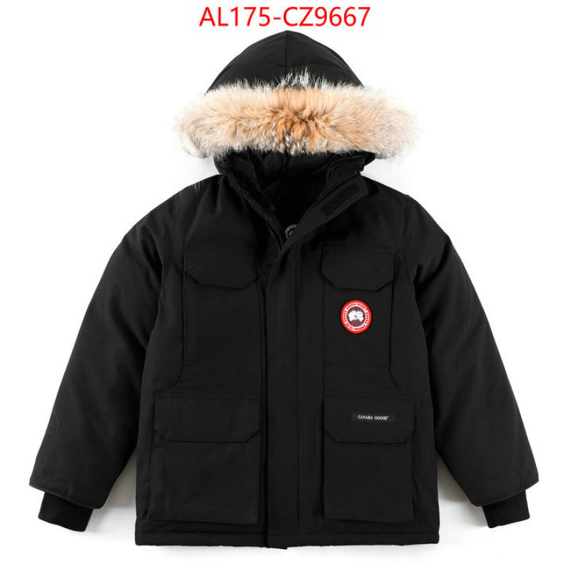 Kids clothing-Down jacket best replica 1:1 ID: CZ9667 $: 175USD