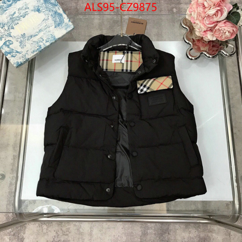 Kids clothing-Down jacket how to buy replica shop ID: CZ9875 $: 95USD