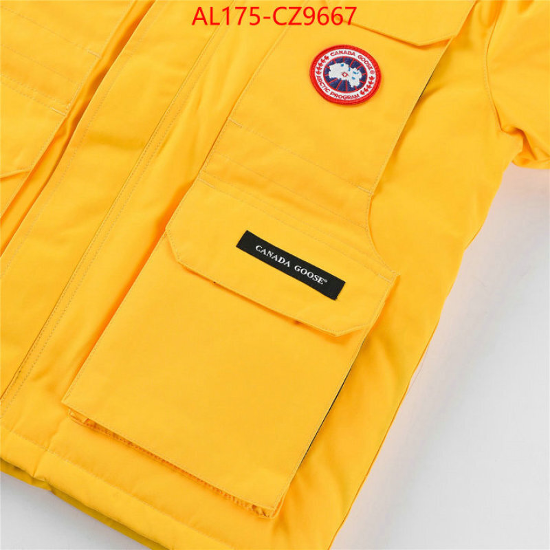 Kids clothing-Down jacket best replica 1:1 ID: CZ9667 $: 175USD