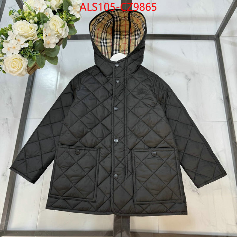 Kids clothing-Down jacket high quality ID: CZ9865 $: 105USD