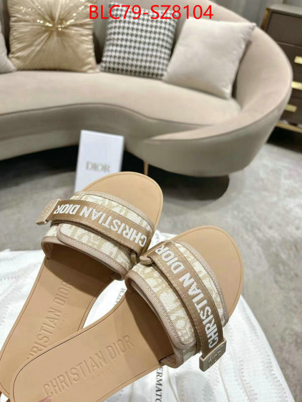 Women Shoes-Dior the online shopping ID: SZ8104 $: 79USD