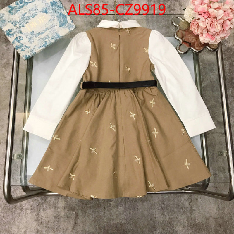 Kids clothing-Dior online store ID: CZ9919 $: 85USD
