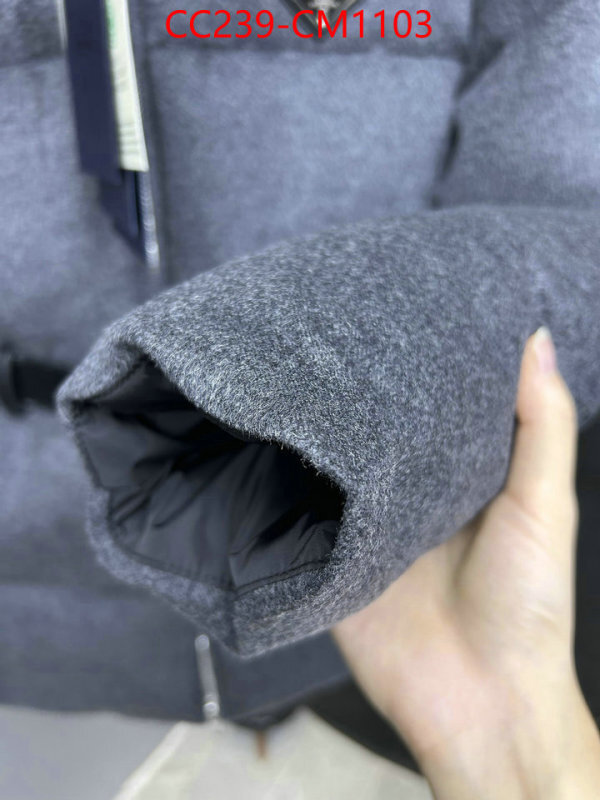 Down jacket Women-Prada where can i buy the best quality ID: CM1103 $: 239USD
