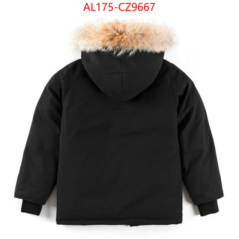 Kids clothing-Down jacket best replica 1:1 ID: CZ9667 $: 175USD
