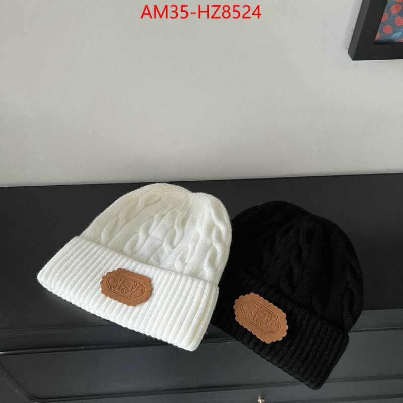Cap(Hat)-LV ID: HZ8524 $: 35USD