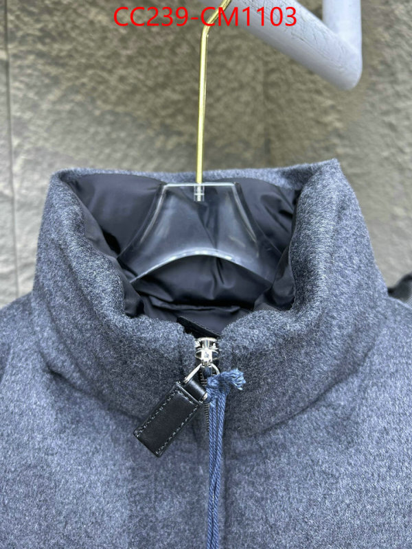 Down jacket Women-Prada where can i buy the best quality ID: CM1103 $: 239USD