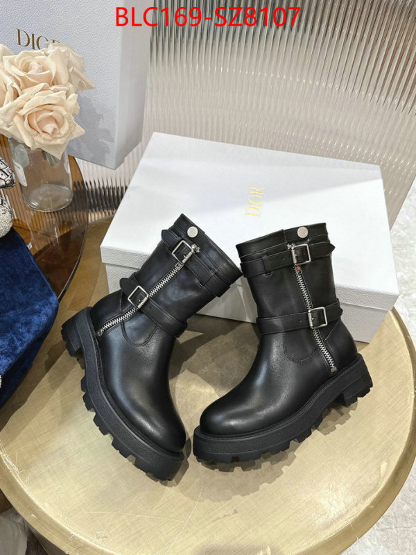Women Shoes-Dior cheap high quality replica ID: SZ8107 $: 169USD