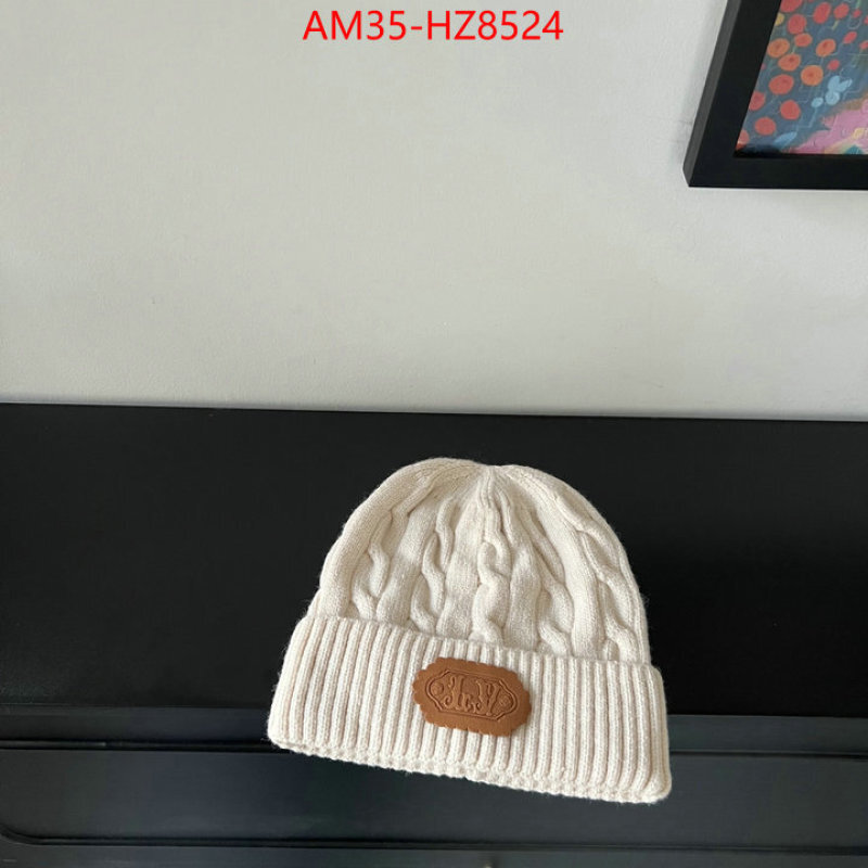 Cap(Hat)-LV ID: HZ8524 $: 35USD