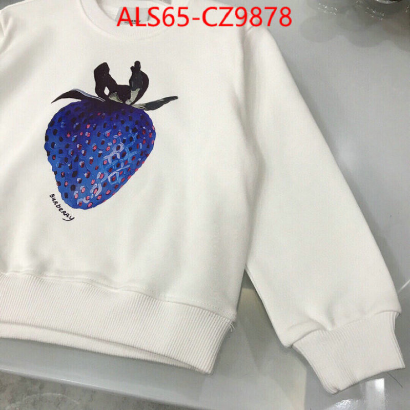 Kids clothing-Burberry best website for replica ID: CZ9878 $: 65USD
