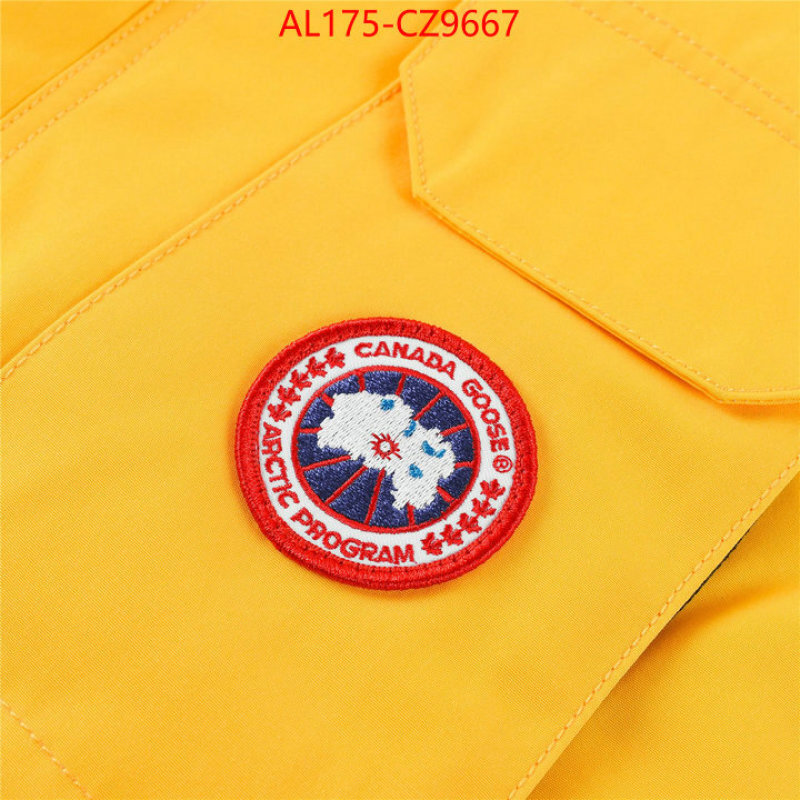 Kids clothing-Down jacket best replica 1:1 ID: CZ9667 $: 175USD