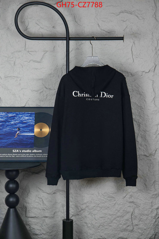 Clothing-Dior 1:1 ID: CZ7788 $: 75USD