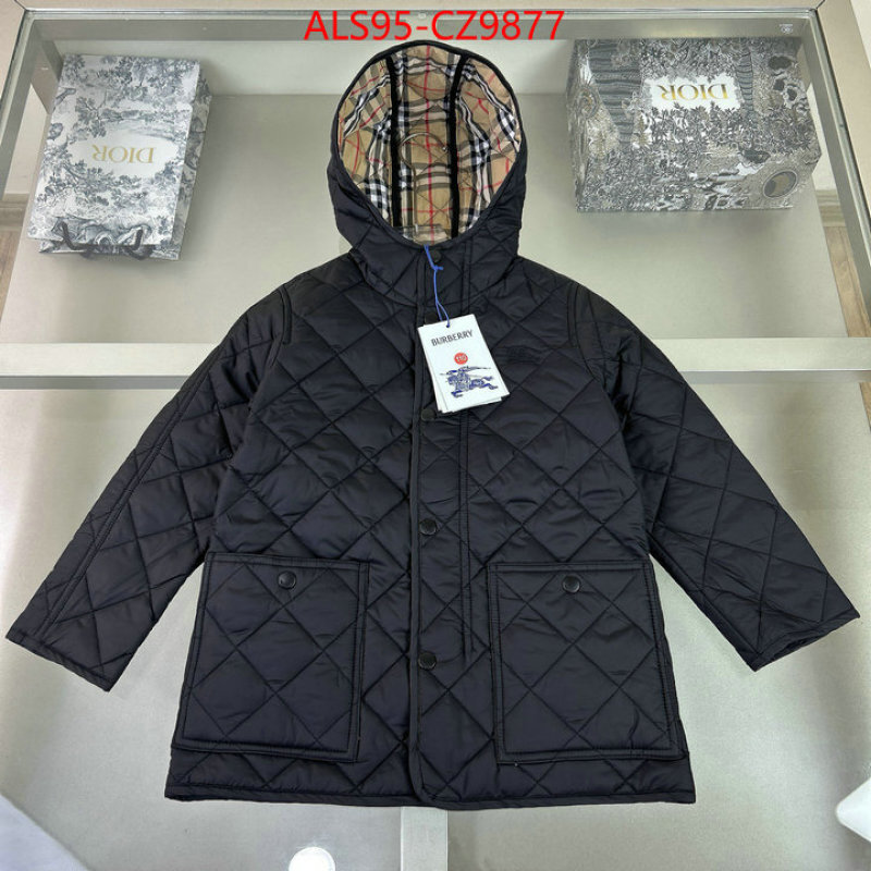 Kids clothing-Down jacket sellers online ID: CZ9877 $: 95USD