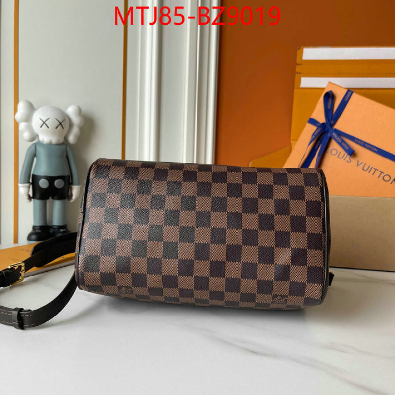 LV Bags(4A)-Speedy- we offer ID: BZ9019 $: 85USD,