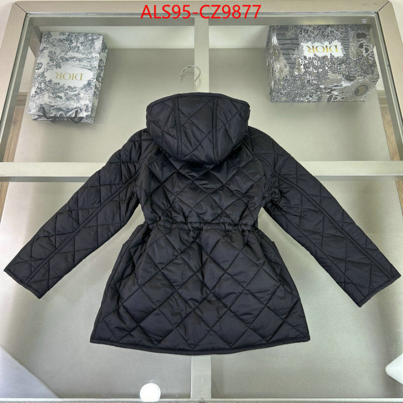 Kids clothing-Down jacket sellers online ID: CZ9877 $: 95USD