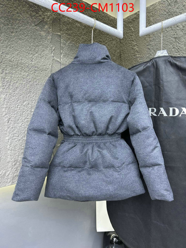 Down jacket Women-Prada where can i buy the best quality ID: CM1103 $: 239USD