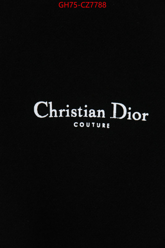 Clothing-Dior 1:1 ID: CZ7788 $: 75USD