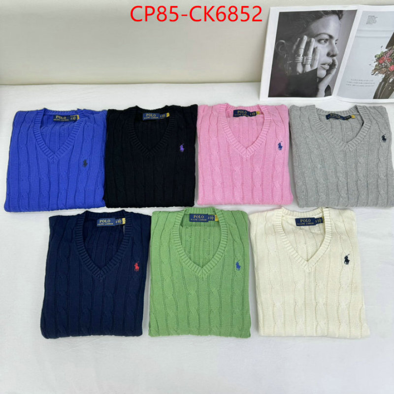 Clothing-Ralph Lauren the quality replica ID: CK6852 $: 85USD