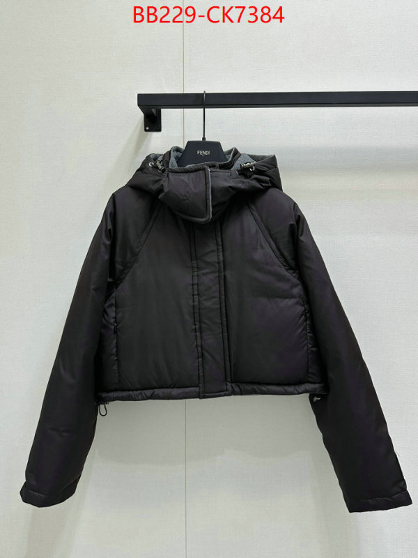 Down jacket Women-Fendi high-end designer ID: CK7384 $: 229USD