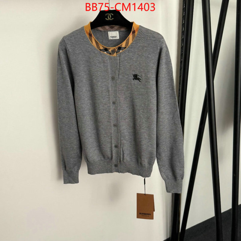 Clothing-Burberry replica online ID: CM1403 $: 75USD