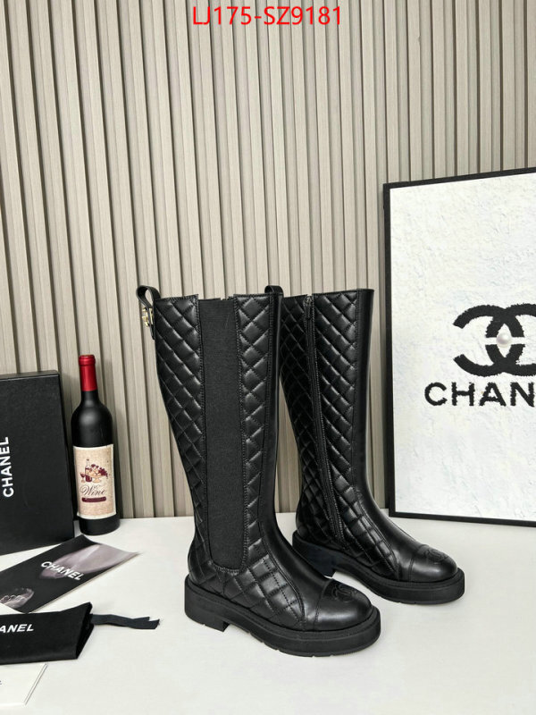 Women Shoes-Boots online from china ID: SZ9181 $: 175USD