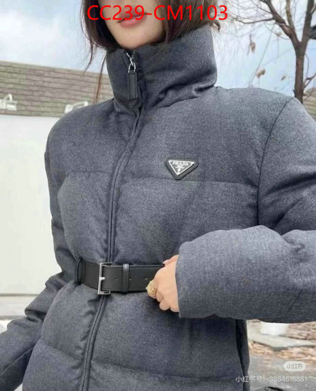Down jacket Women-Prada where can i buy the best quality ID: CM1103 $: 239USD