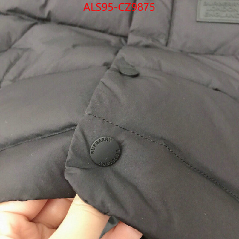 Kids clothing-Down jacket how to buy replica shop ID: CZ9875 $: 95USD