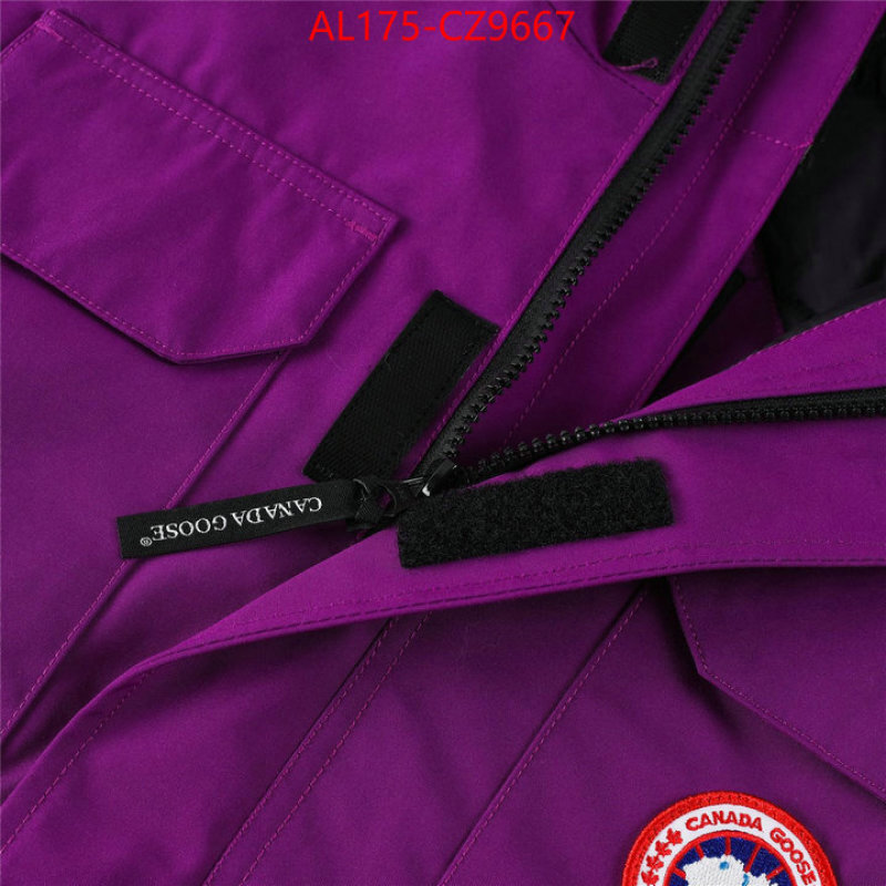 Kids clothing-Down jacket best replica 1:1 ID: CZ9667 $: 175USD