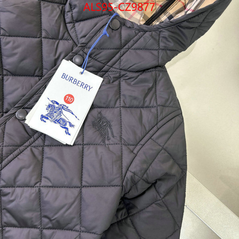 Kids clothing-Down jacket sellers online ID: CZ9877 $: 95USD