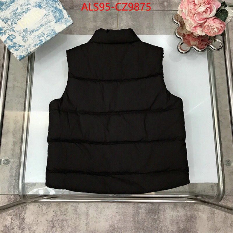 Kids clothing-Down jacket how to buy replica shop ID: CZ9875 $: 95USD