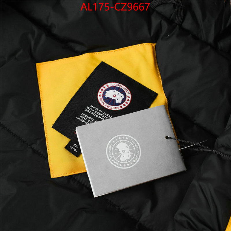 Kids clothing-Down jacket best replica 1:1 ID: CZ9667 $: 175USD