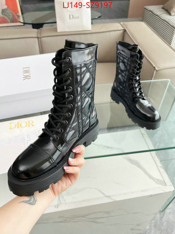 Women Shoes-Dior fake designer ID: SZ9197 $: 149USD