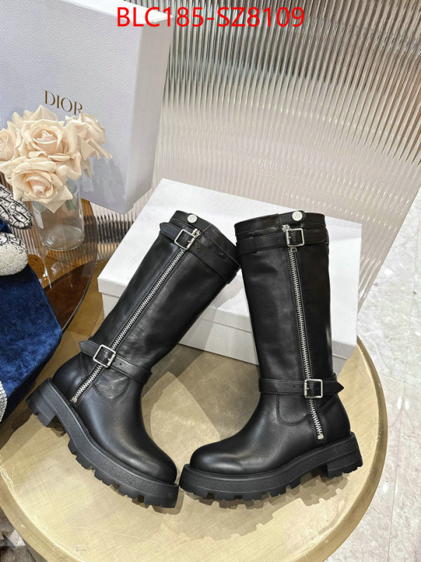Women Shoes-Dior online from china designer ID: SZ8109 $: 185USD